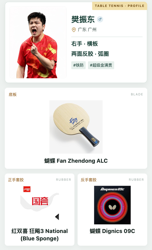 樊振东乒乓档案示例